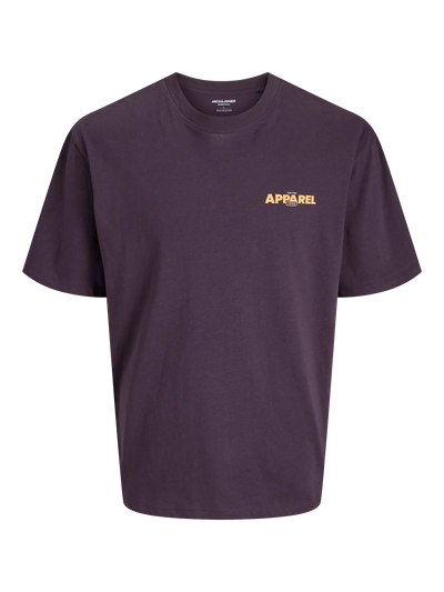 JJEBRADLEY GRAPHIC TEE SS O-NECK NOOS